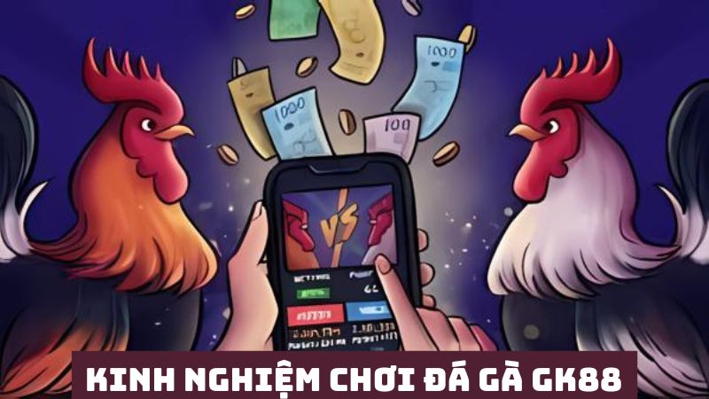 Kinh nghiệm chơi đá gà hiệu quả từ nhiều chiến kê 