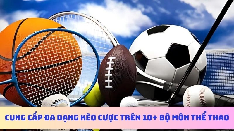 Điểm cá cược cung cấp hơn 10+ bộ môn thể thao phổ biến