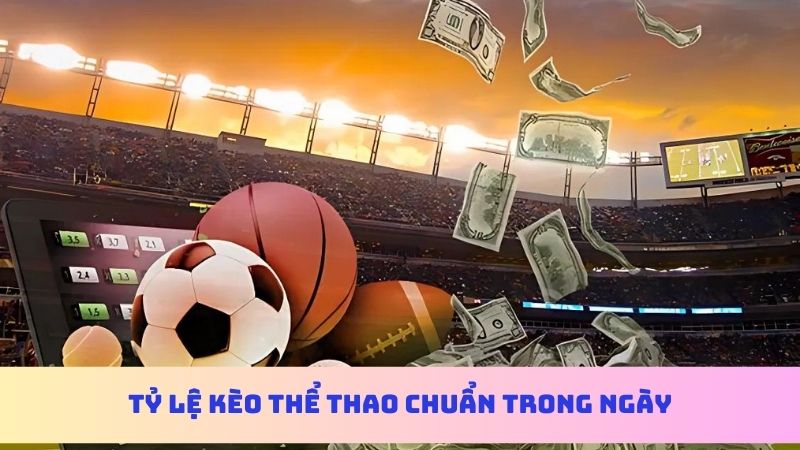 Người chơi nhận tỷ lệ kèo chuẩn nhất trong ngày